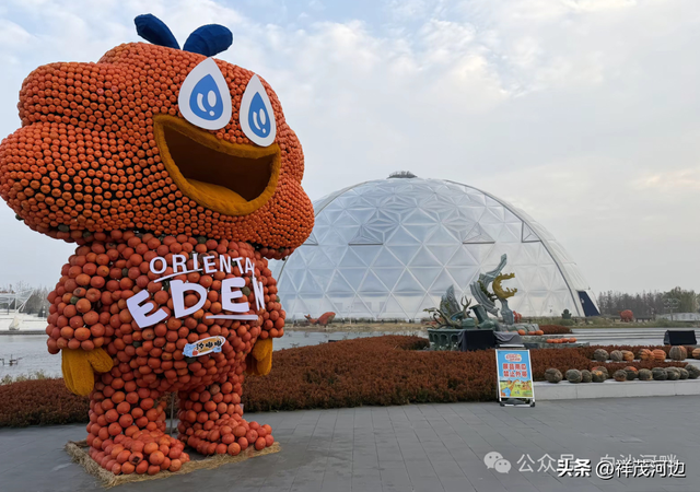 狂欢节后，青岛东方伊甸园景区将“南瓜”们堆成“垃圾山”？