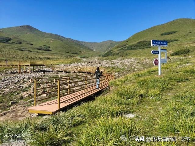 甘肃临洮马啣山：赴一场融传说、历史与花海的浪漫之约