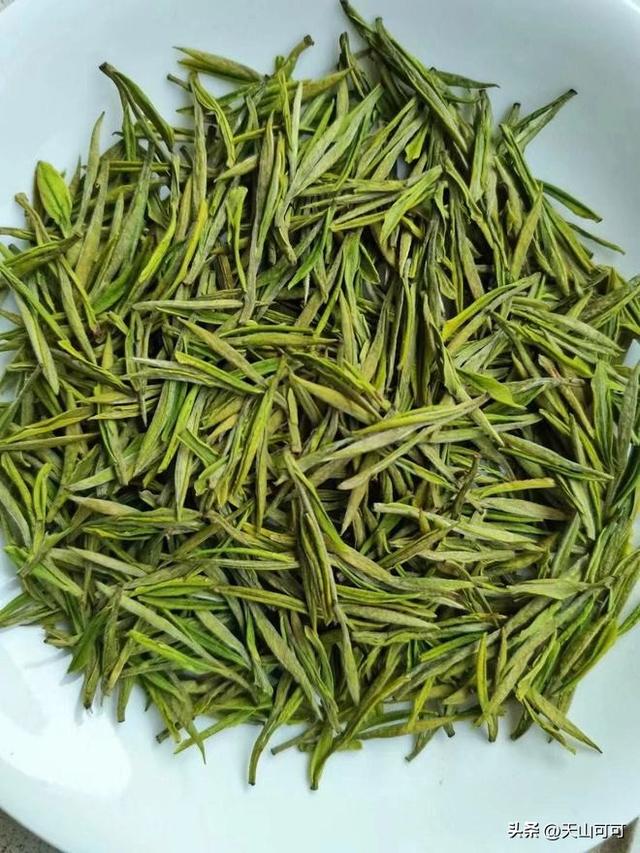 安吉白茶属于什么茶类，你喝过吗？