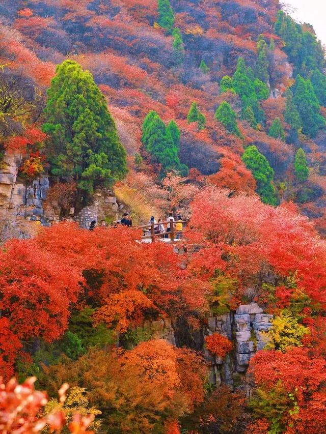 立冬已过，然红叶未落！石门坊等你来继续书写属于你的“红”！