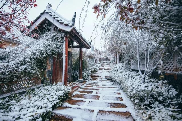 大雪至沂蒙，山水待君游