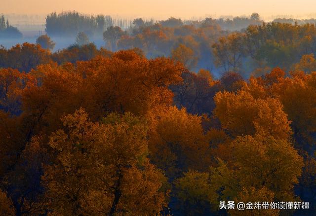 刀郎部落景区入选2025年全国非遗进景区“五好”案例名单实至名归