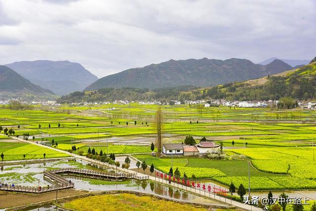 春风十里汉中路：120 公里花海茶园摄影环线