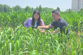 山西晋中国家农高区：在黄土高原上书写现代农业新篇章图片