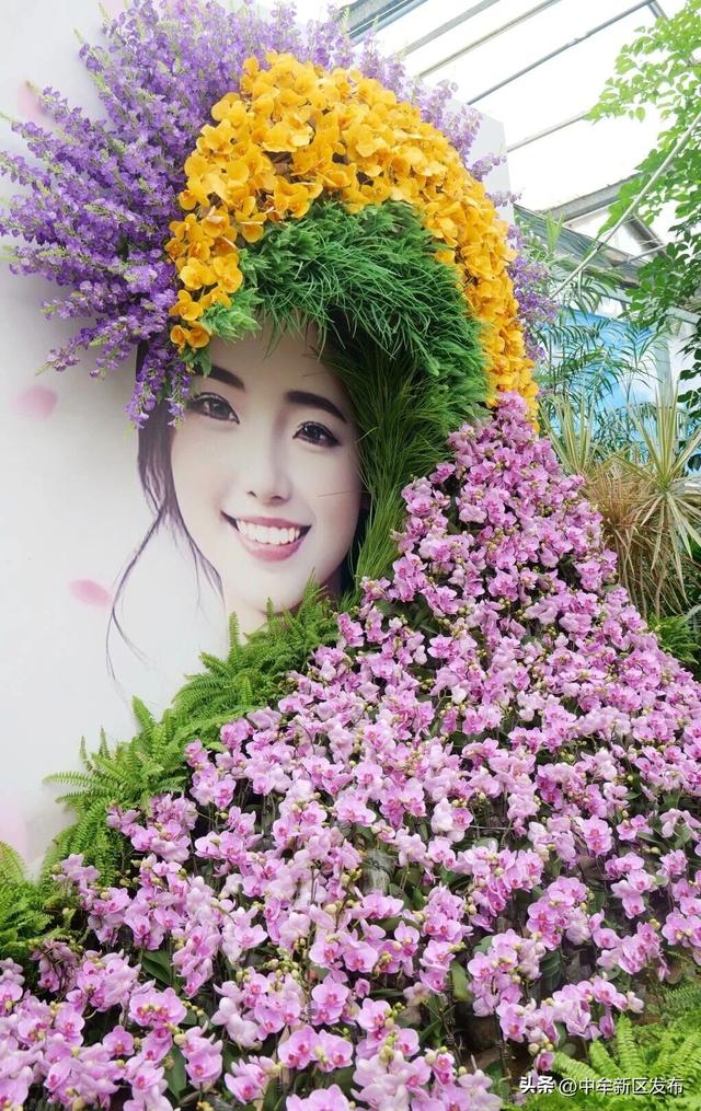 双节雨韵 心动中牟