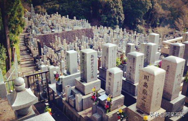 日本祖先真相大白，不是徐福后代，DNA检测结果让日本人无法接受