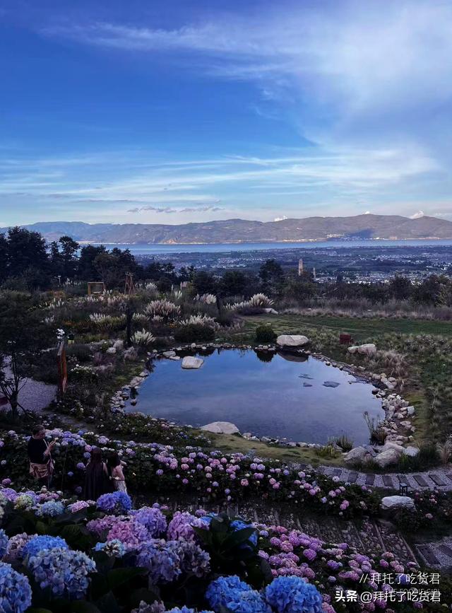 绣球花的夏天，不在南法在大理