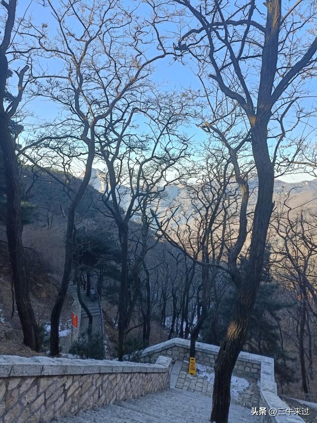 无为在歧路，二十四登泰山3