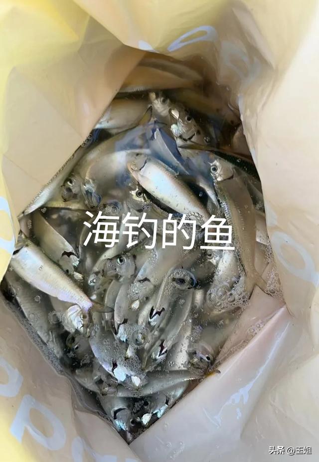 走过的是风景，留下的是回忆，人生就像一场旅途