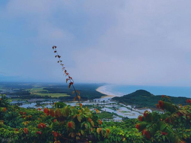 我四川人，去了趟海南万宁，实在是忍不住想说：对万宁的 4 点印象
