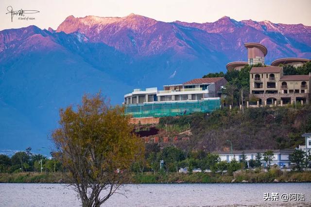 洱海的湿地公园很多,这几座孤岛风景不错,只是唯一的浮桥太晃荡