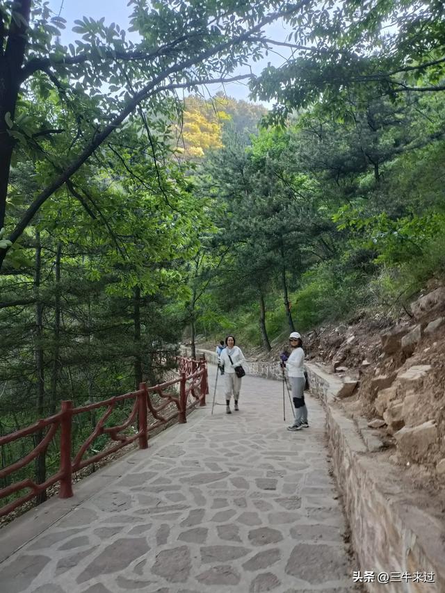 无为在歧路，武安涉县平顺临清（2）