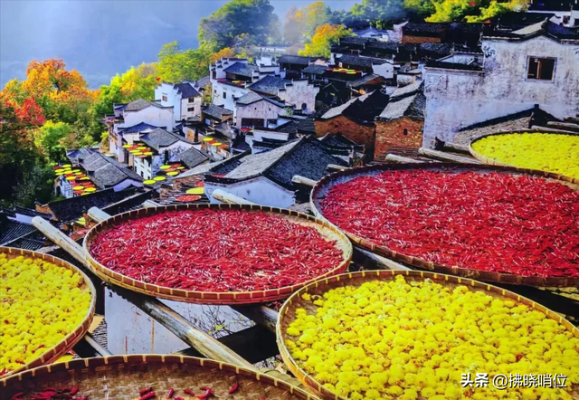 周小平：一路风景看不尽——我和孙子奶奶的自驾游纪行拂晓哨位