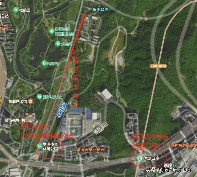 深圳14.9公里骑行徒步绿道，地铁直达