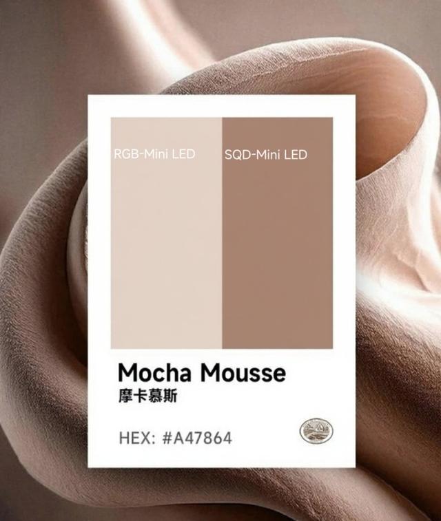 看过了SQD-Mini LED技术的画质效果 才明白过去的高端电视有多将就