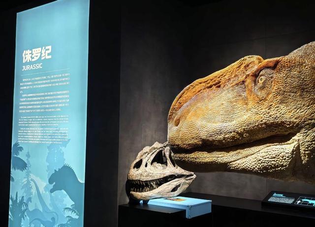 南宁亲子遛娃新地标！规划馆旁的“侏罗纪世界”，带娃玩出新鲜感