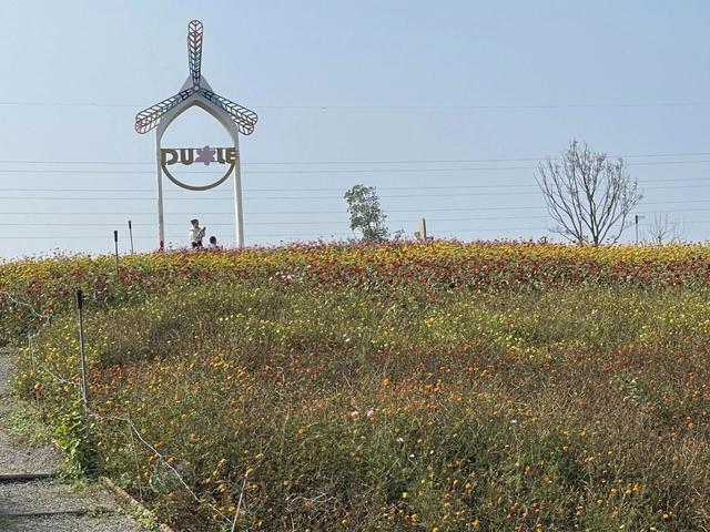 随性骑游六合随拍小景