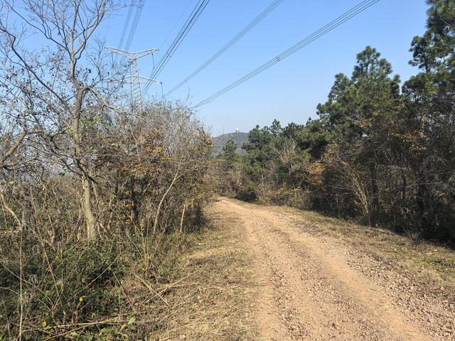 南京龙尚湖，大连山，佘村一日郊野徒步