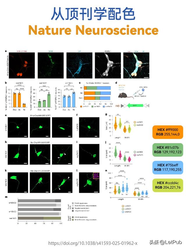 一眼心动！医学Nature子刊色感绝了