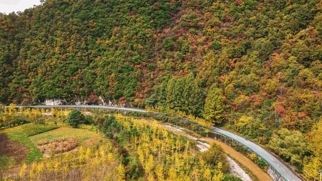 10月-11月，适合去的7个小众赏秋圣地，满山彩林，浓浓秋意