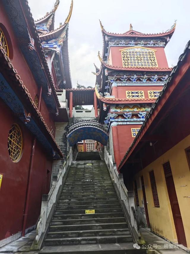 为了一碗羊肉汤，去了简阳