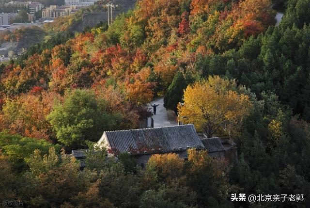 百望山三条宝藏徒步路线大揭秘