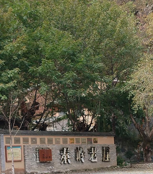 终南山寨：在秦岭秋里抓一把烟火气