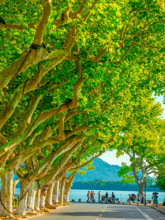 从“圈地收费’到‘还景于民”，多个景区已全免门票，你怎么看？