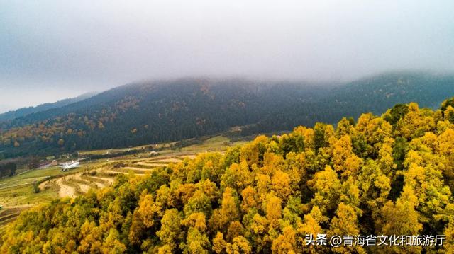 【秋日青海】假期邂逅乡趣卡阳，在云雾与秋色中共舞