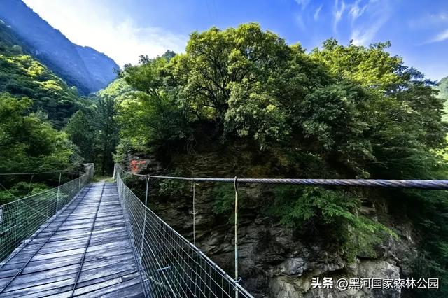 三伏天避暑新体验，这几处宝藏景点凉气十足！