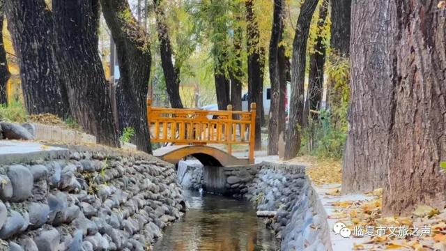 在折桥湾，把冬天过成田园诗