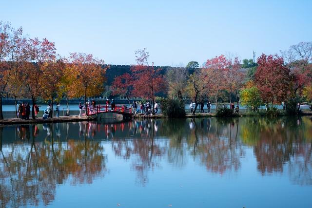 南京真糊涂啊！这十个堪比AAAAA级的景点！秋游很美赶快宣传吧！
