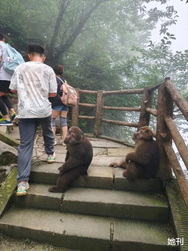 国庆女陪爬：不搞擦边，闷声发财