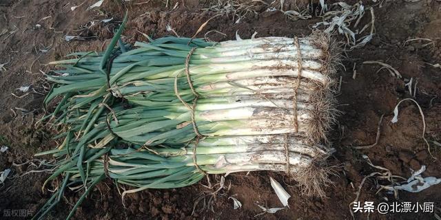 保存大葱时，别直接放地上	，教你三个土方法，保存三个月都还新鲜