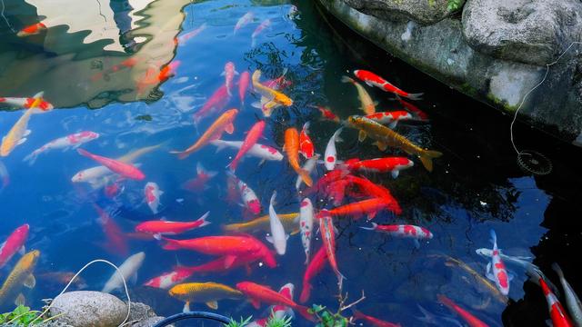 组图：逛市集、品美食、淘文创！咸安面里花园冬日市集温暖来袭