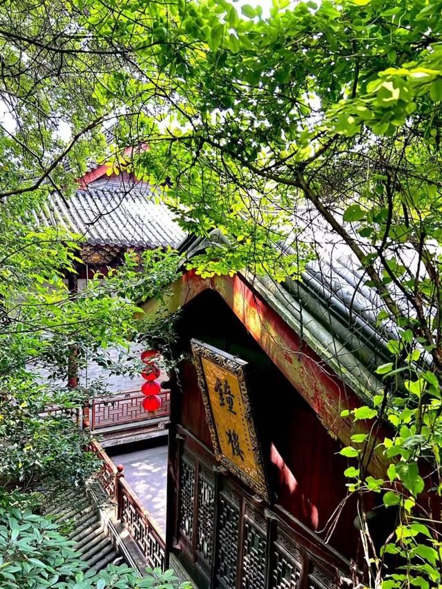 刚从宁波回来，毫不客气的说，宁波就是全国郊区城建天花板！