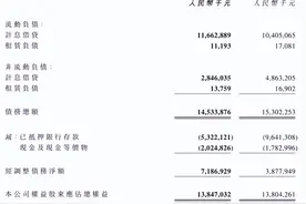 负债率急速升超50%，净利翻番的卓尔智联前景难言乐观？图片