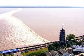 如何购票、驾车通行证怎么申请？这份海宁观潮攻略请收好图片