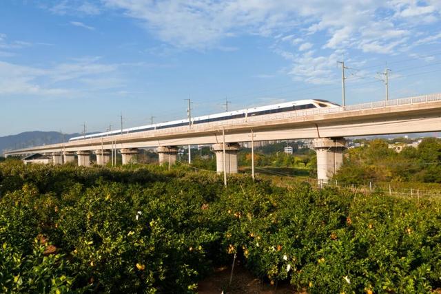 奔“县” | 橙色美好奔赴而来，你尝了么？