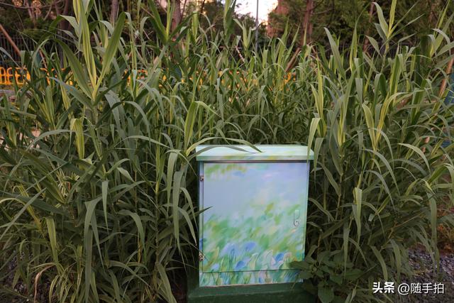 实拍江苏苏州昆山花桥梅浦河海绵城市公园，“会呼吸”的绿地