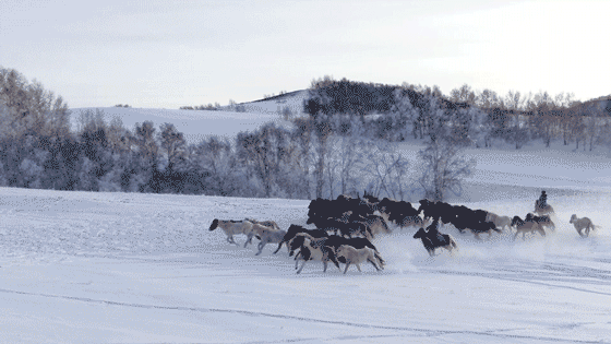 12月旅行推荐！12个最佳目的地，避开人潮，对的时间就去对的地点