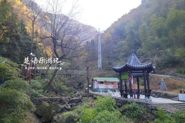 浙江绍兴雪窦岭的水上杉林，被誉为“江南小九寨”，现实却是这样