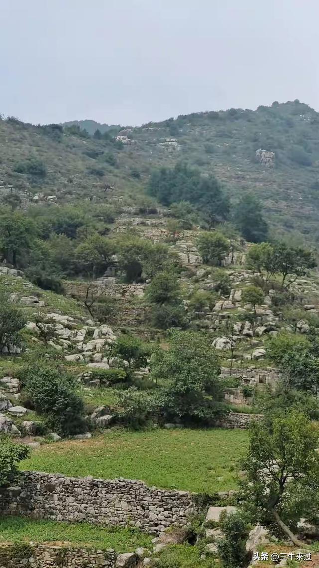 无为在歧路，壶关林州大名府7