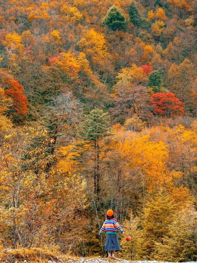 喇叭河五彩斑斓的秋天，就这样闯闯闯入视野！