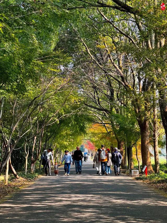 从1公里到33公里，苏州15座山全强度登山攻略！