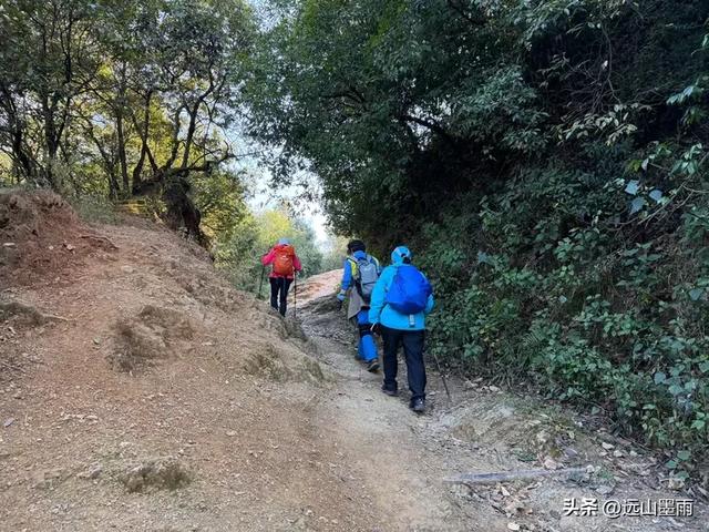 阳光明媚的冬日里,我们爬山去,逛陡坡村、看冬樱花,做晴朗的事