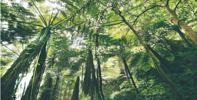 四川省荣县历史沿革及行政区划