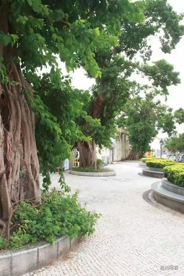 澳门路环，宁静超脱……