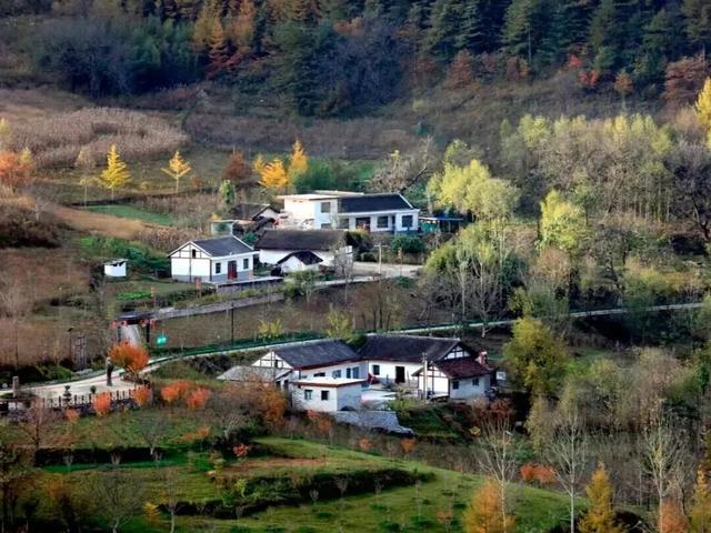 两当冬韵， “氧”心秘境