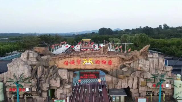诸城市动物园迎来4位新住客，还能半价游园！